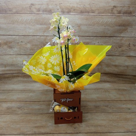 Mini Orquídea 2 Hastes Pote 9 - Cor Variada + Chocolate